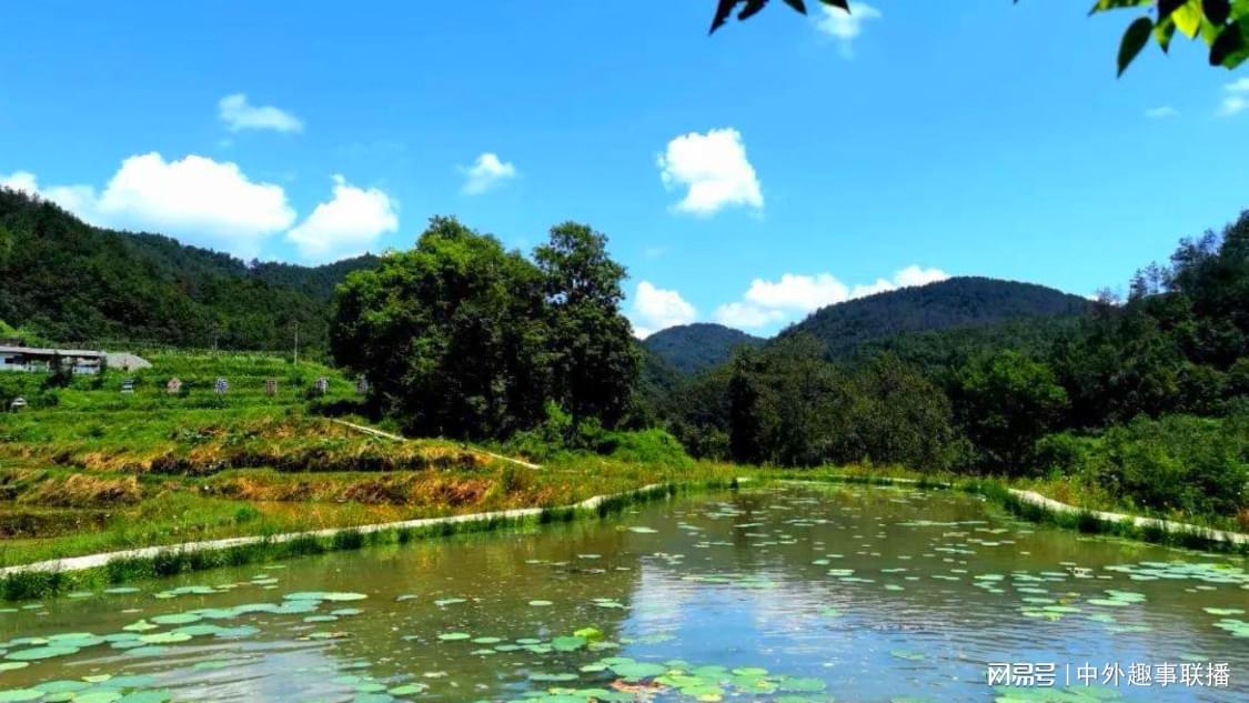 ks自助平台下单24小时：24小时在线自助下单服务平台_dnf手游秒杀挂免费版